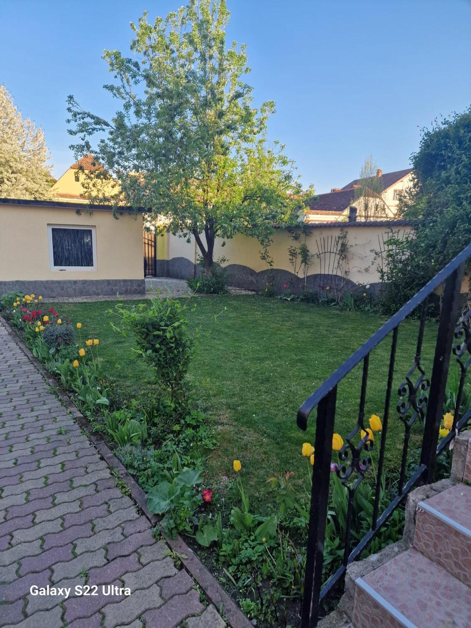 Apartament Teilor Rîşnov Exterior foto