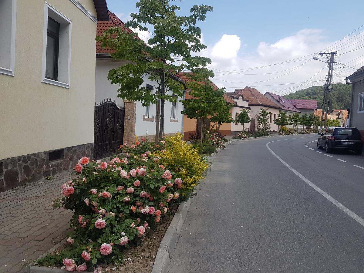 Apartament Teilor Rîşnov Exterior foto